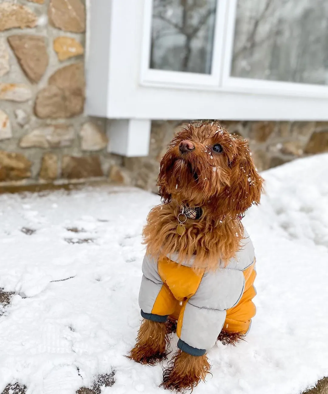 Winter Jumpsuit